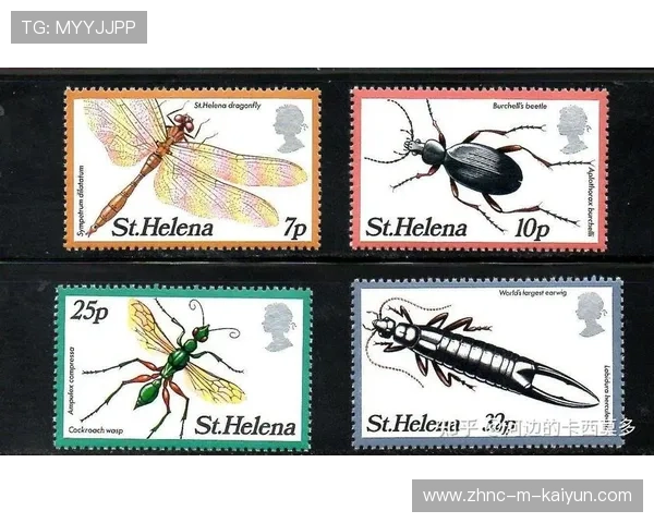 圣赫勒拿进行新一轮篮球青训培训，圣赫勒拿蠼螋