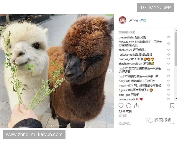 哈兰德宠物训练照曝光：他与宠物的独特默契，打破运动员形象