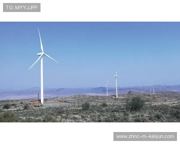 “南非羚羊队的前景广阔:萨尔·巴赫是关键” “南非羚羊队的前景广阔:萨尔·巴赫是关键”